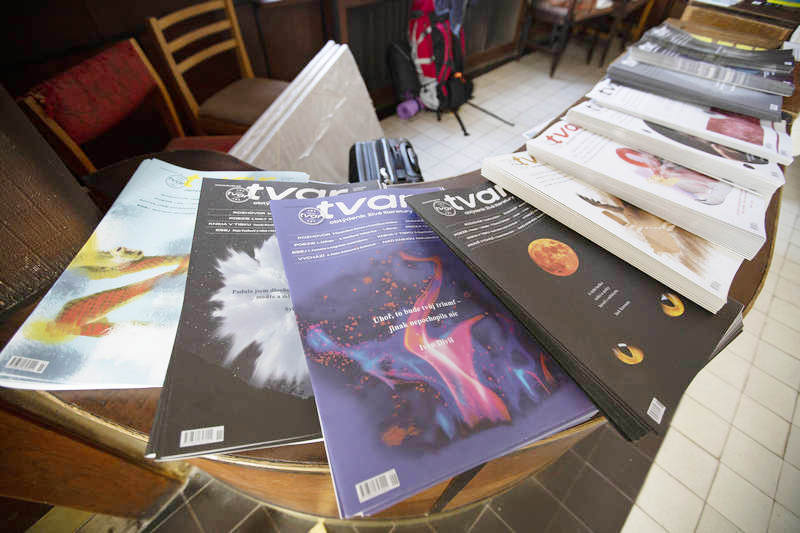 dílna literární kritiky